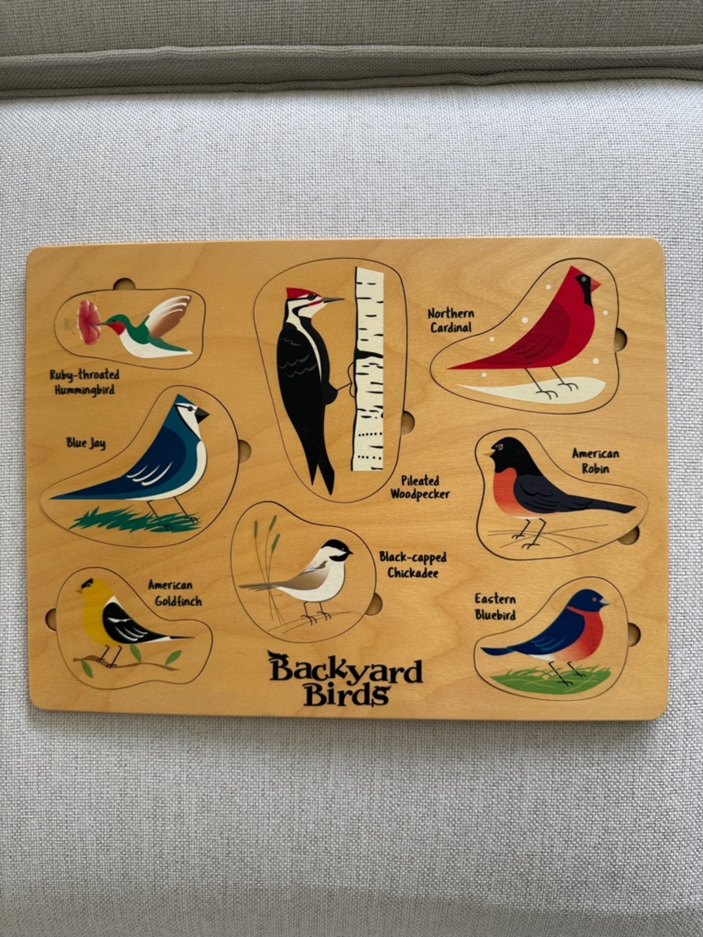 Maple Landmark Lift & Learn Backyard Birds Wooden Puzzle - Picture 5 of 11